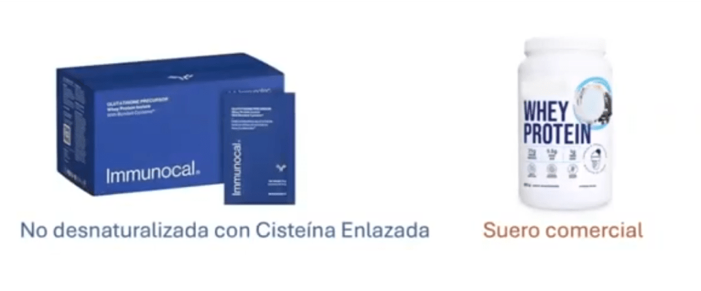  Cisteína Ligada y Glutatión: Immunocal y otras Proteínas 