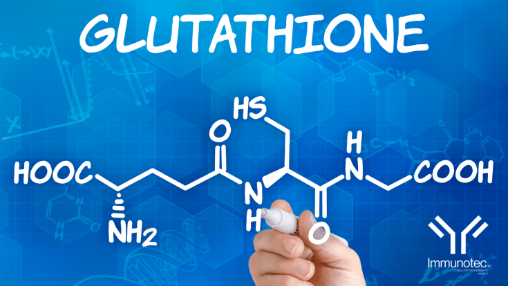Caída de glutatión produce problemas cardiovasculares y renales; indica estudio de la Facultad de Medicina de&nbsp;Granada.