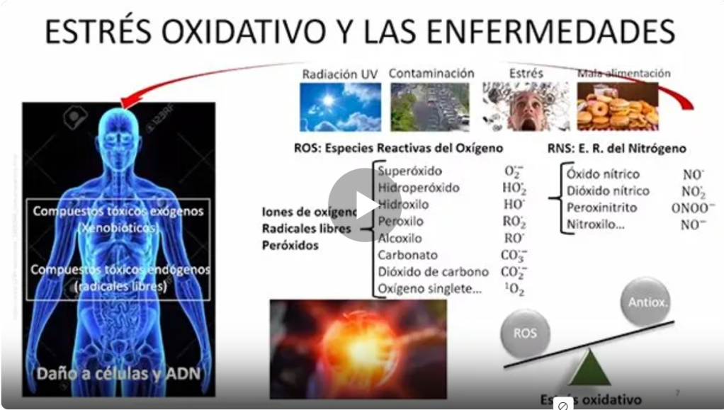 Estrés oxidativo y enfermedades