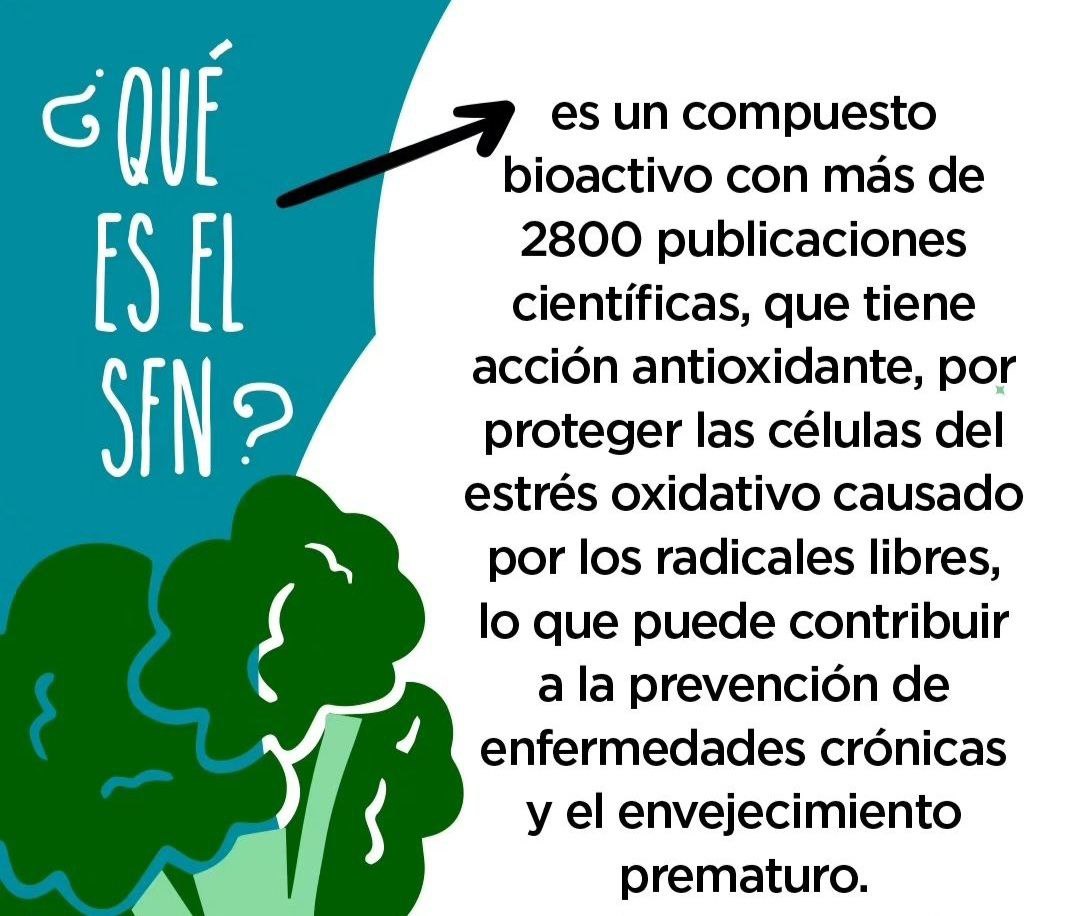 SULFORAFANO ¿Qué es y que beneficios tiene?