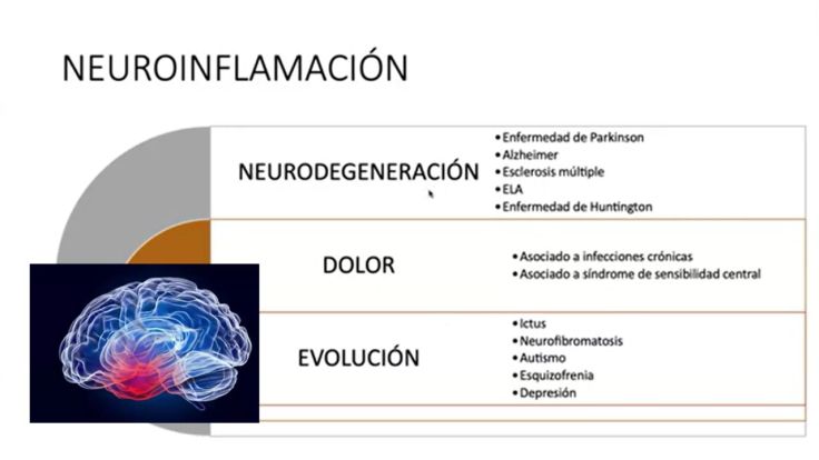 Neuroinflamación