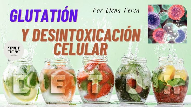 Desintoxicación Celular ¿Qué importancia&nbsp;tiene?