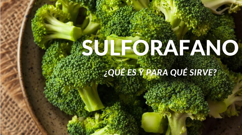 SULFORAFANO ¿Qué es y que beneficios tiene?