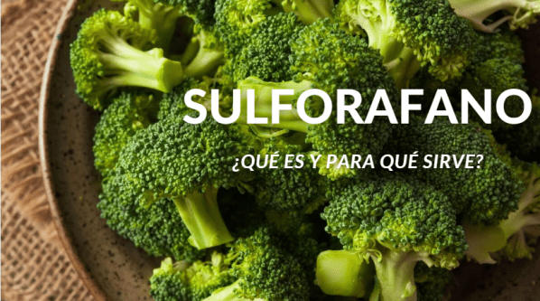 SULFORAFANO ¿Qué es y que beneficios tiene?