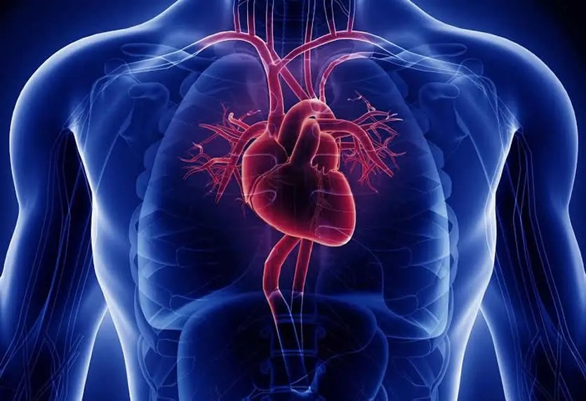 Glutatión en enfermedades cardiovasculares