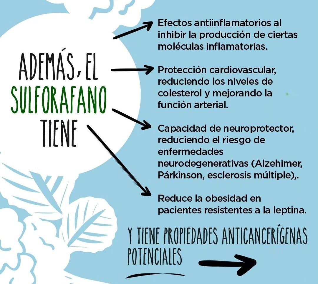 SULFORAFANO ¿Qué es y que beneficios tiene?
