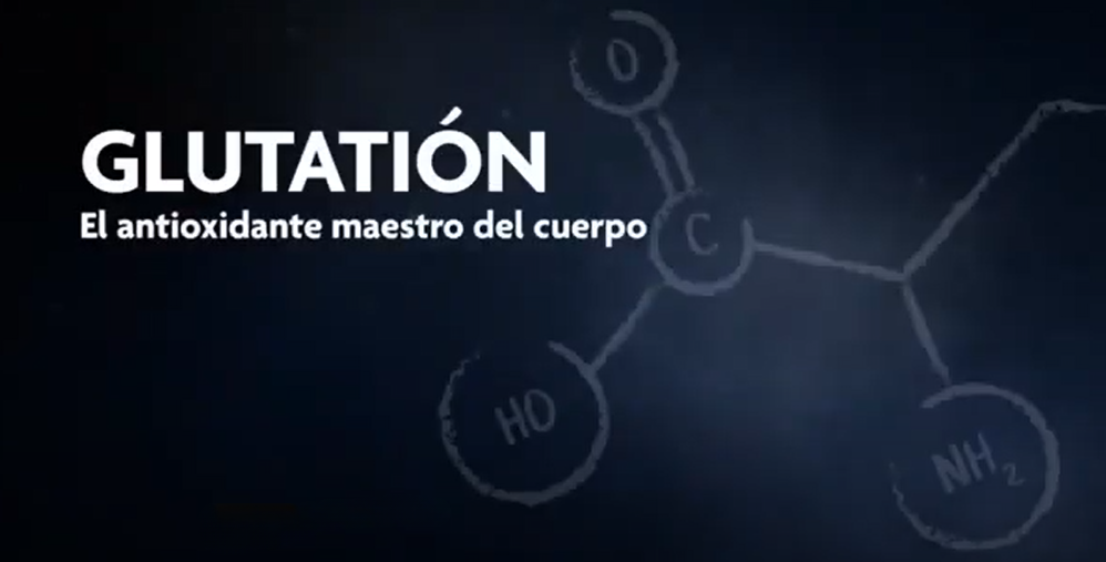 ORIGEN DE IMMUNOCAL