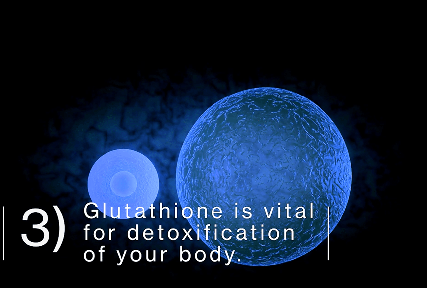 Nature’s Fountain of Youth